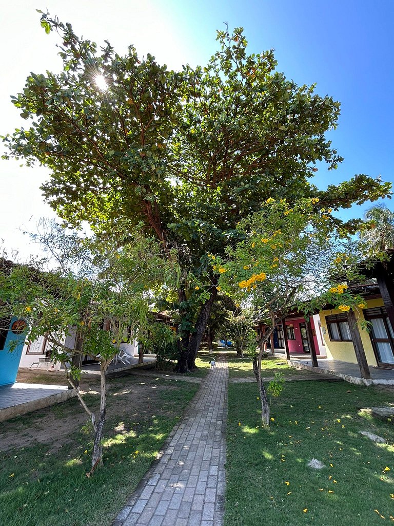 Pet-Friendly Accessible Chalet with Pool in Maragogi